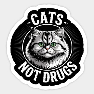 Cats Not Drugs Munchkin British Longhair Sticker